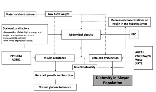 Diagrama

Descripción generada automáticamente