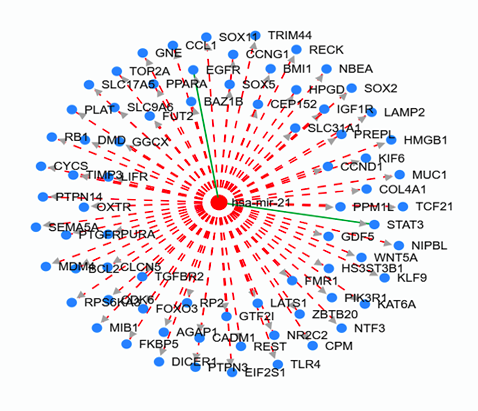 Gráfico, Gráfico radial

Descripción generada automáticamente