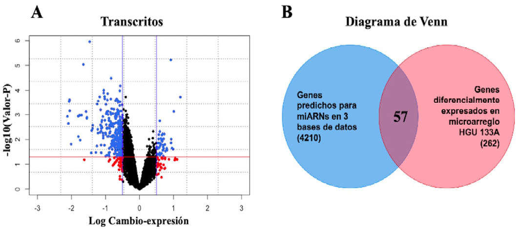 Gráfico

Descripción generada automáticamente