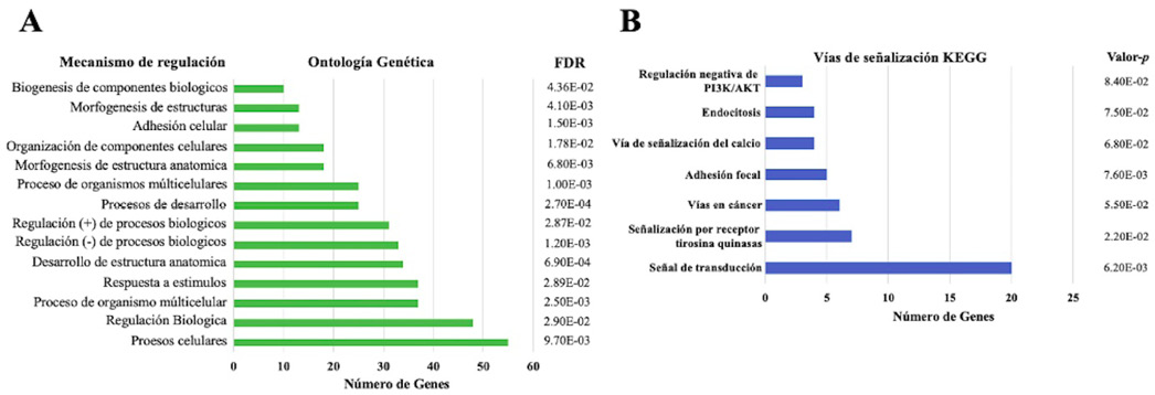 Interfaz de usuario gráfica

Descripción generada automáticamente