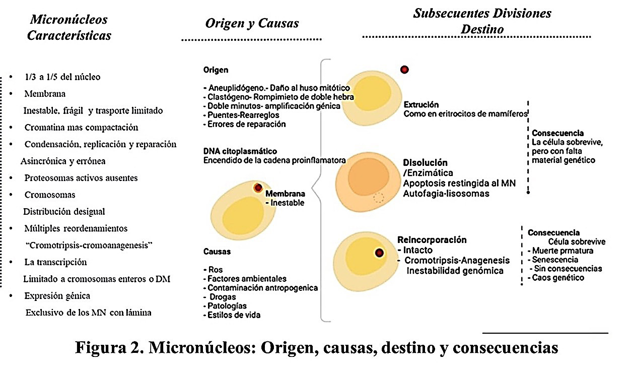 Imagen17230.JPG