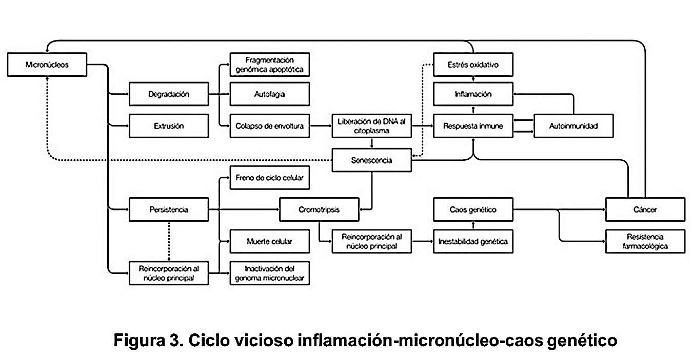 Diagrama

Descripción generada automáticamente