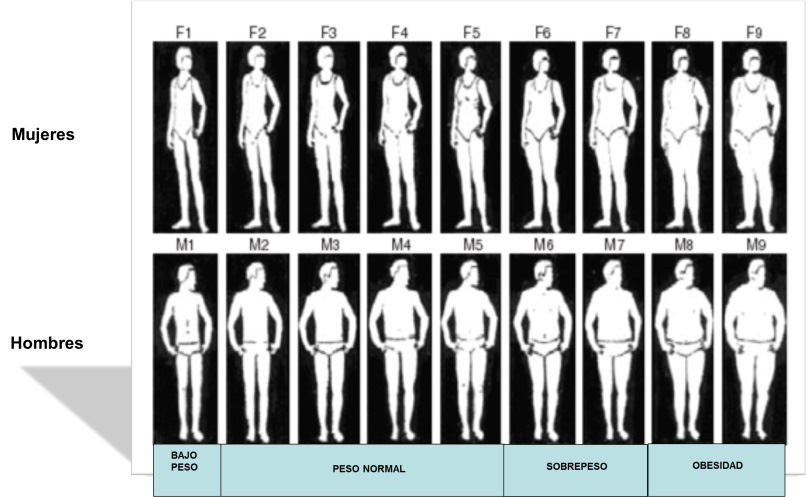 figura%201%20(vf).jpg