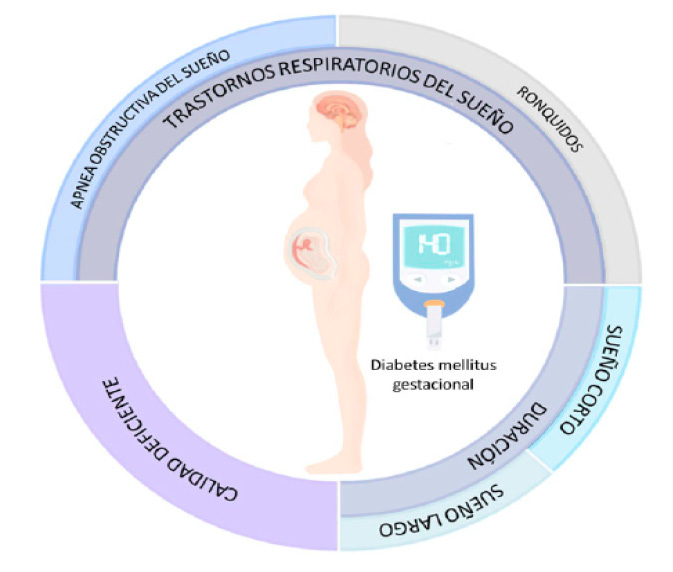 E:\RECUPERACION RENATA III\Hard Disk 1\ESTE IMPORTANTE\MIS ALUMNOS\Verano 2021\Sueño\Revista Biomédica\Correcciones\Figura 1.jpg